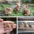 Set of 3 Rabbits