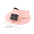 Solar energy pink