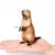 Marmot A