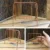 Mini Swing