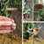 Birdbath