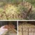 6pcs Fences