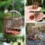 Birdcage Hanging